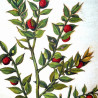 Baies rouges sauvages : collection LIN herbier ancien