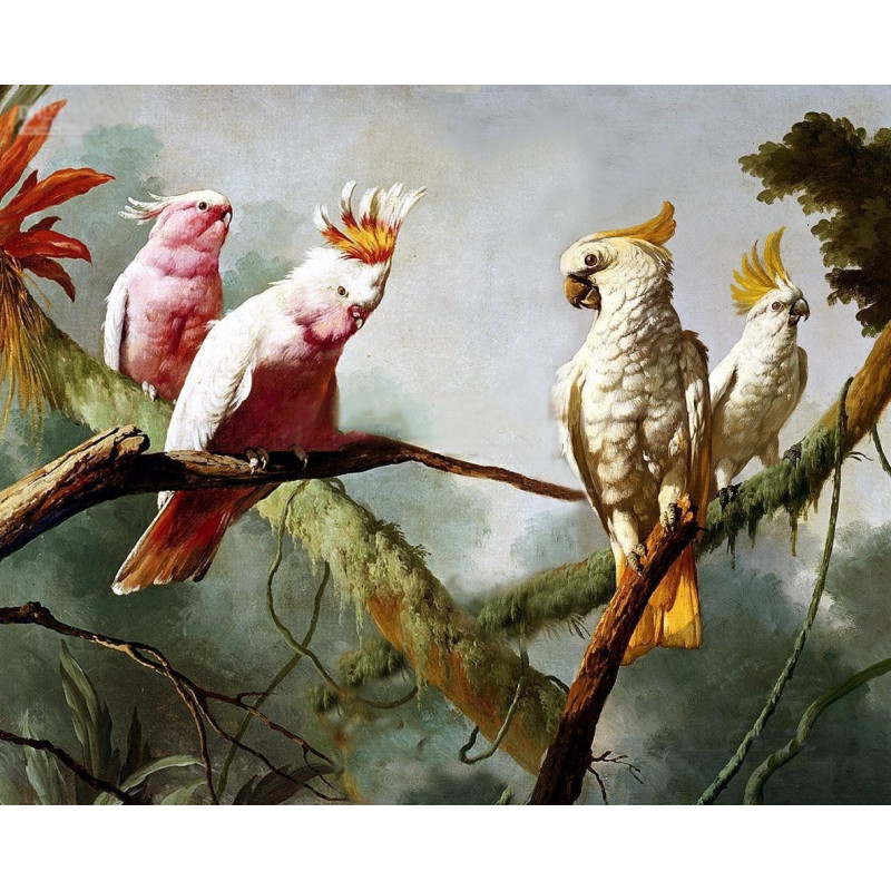 Perroquets