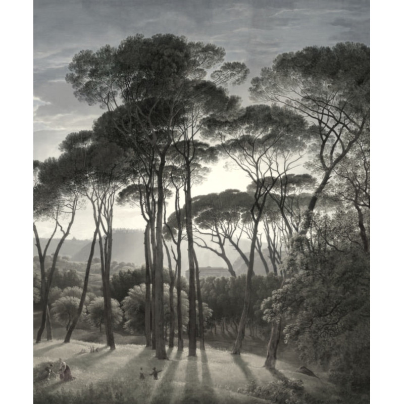 Pins des Landes