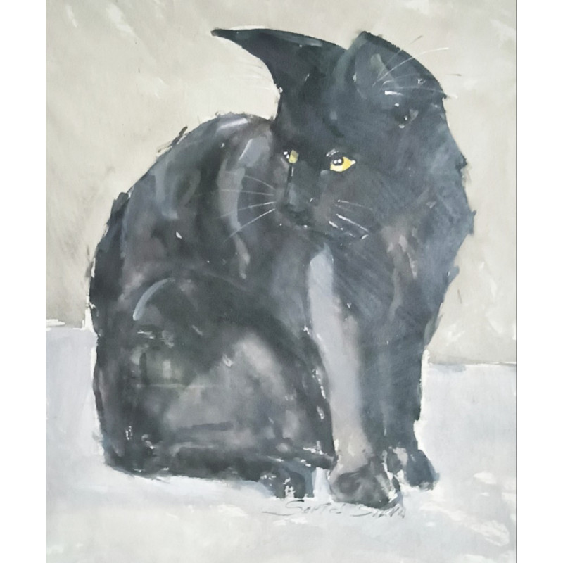 Chat noir