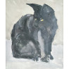 Chat noir