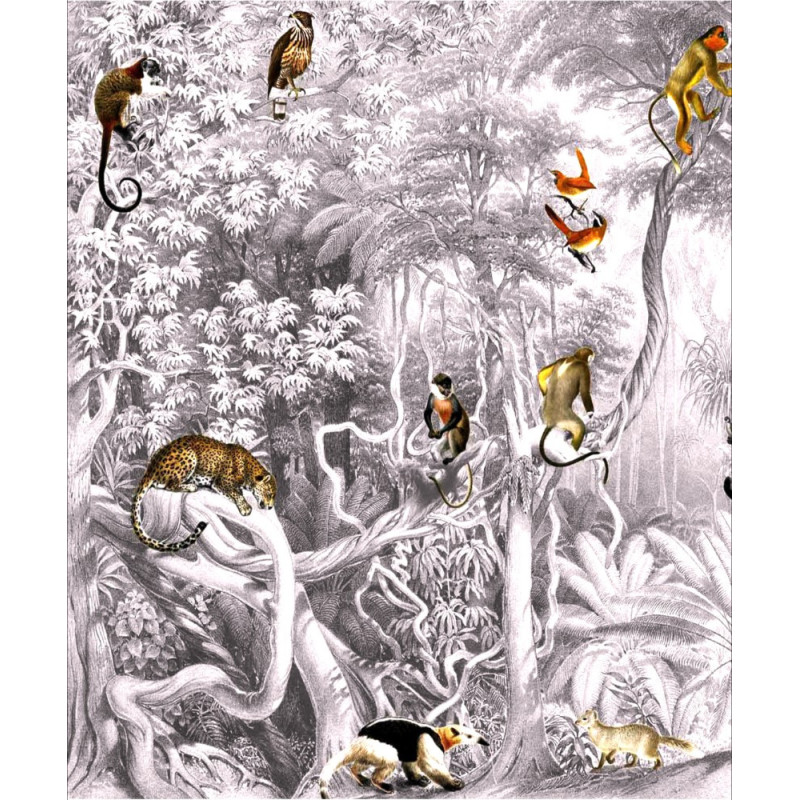 Faune sauvage