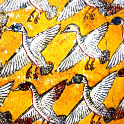 Libellule sur son nénuphar collection LIN fresque antique