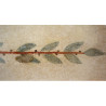 Libellule sur son nénuphar collection LIN fresque antique