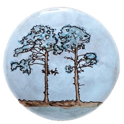 Pins des Landes