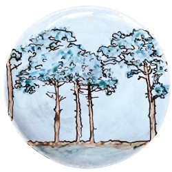 Pins des Landes