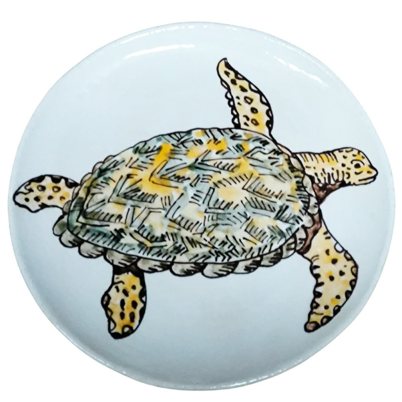 Tortue marine