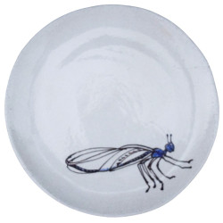 Libellules