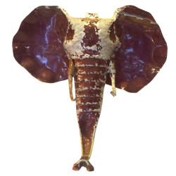 Eléphant d'Afrique