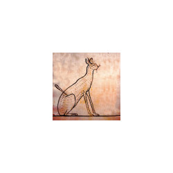 Libellule sur son nénuphar collection LIN fresque antique