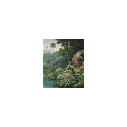 Jungle n°2