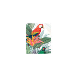 Perroquet Rouge