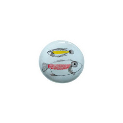 Poissons rouge et jaune