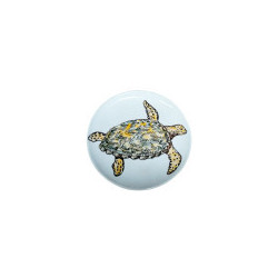 Tortue marine