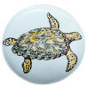 Tortue marine