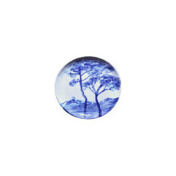Pins bleus