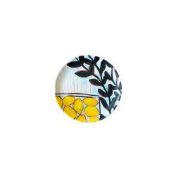 Citrons & laurier