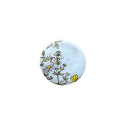 Fleurs des champs