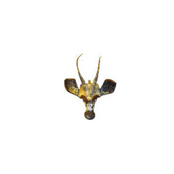 Antilope