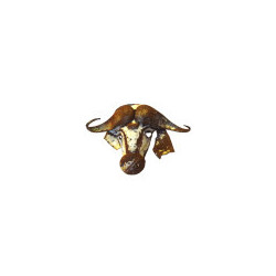 Gnou